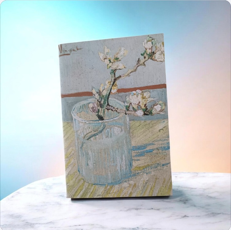 Neva Defter 3lü Set