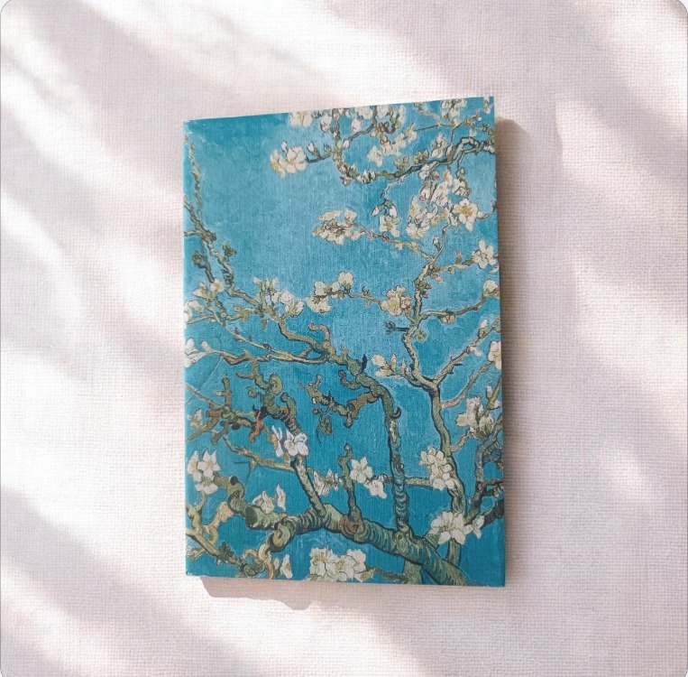 Neva Defter 3lü Set 