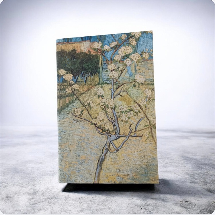 Neva Defter 5li Set