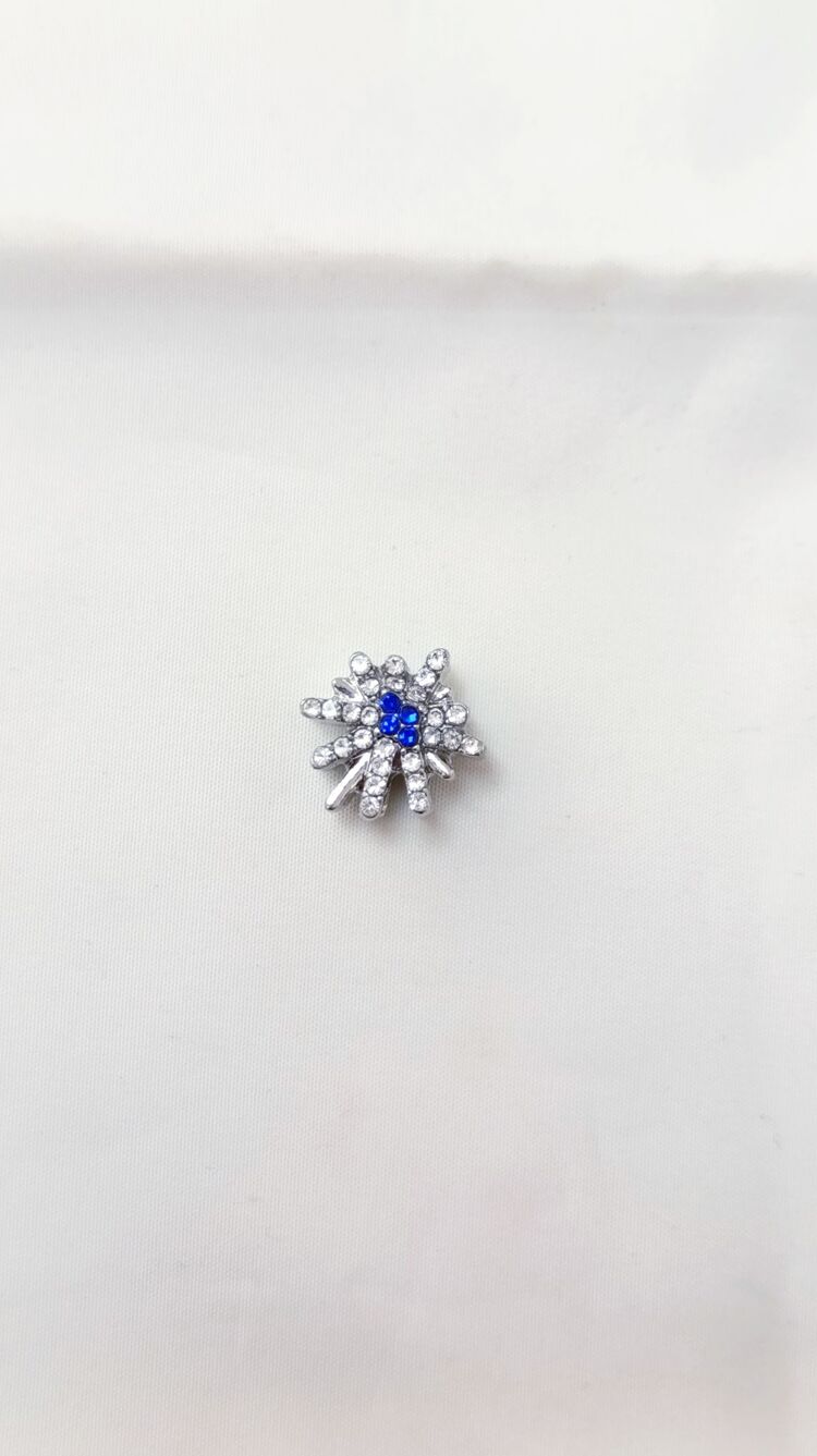 Kutup Yıldızı Charm