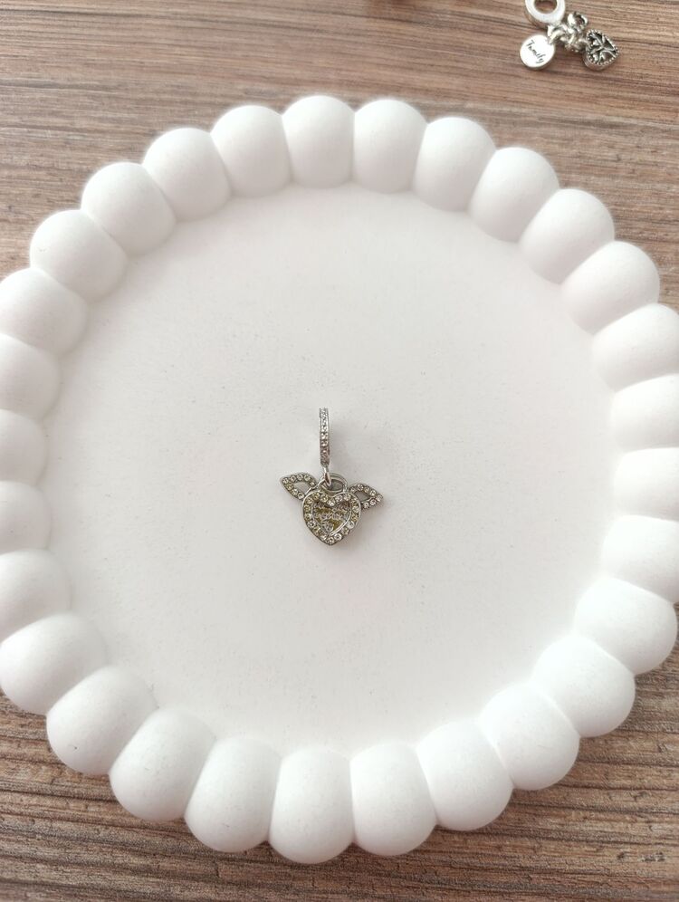Kalpli Kanatlı Charm
