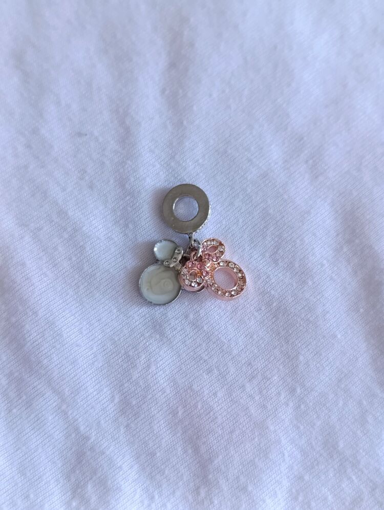 Mickey Sallantılı Charm