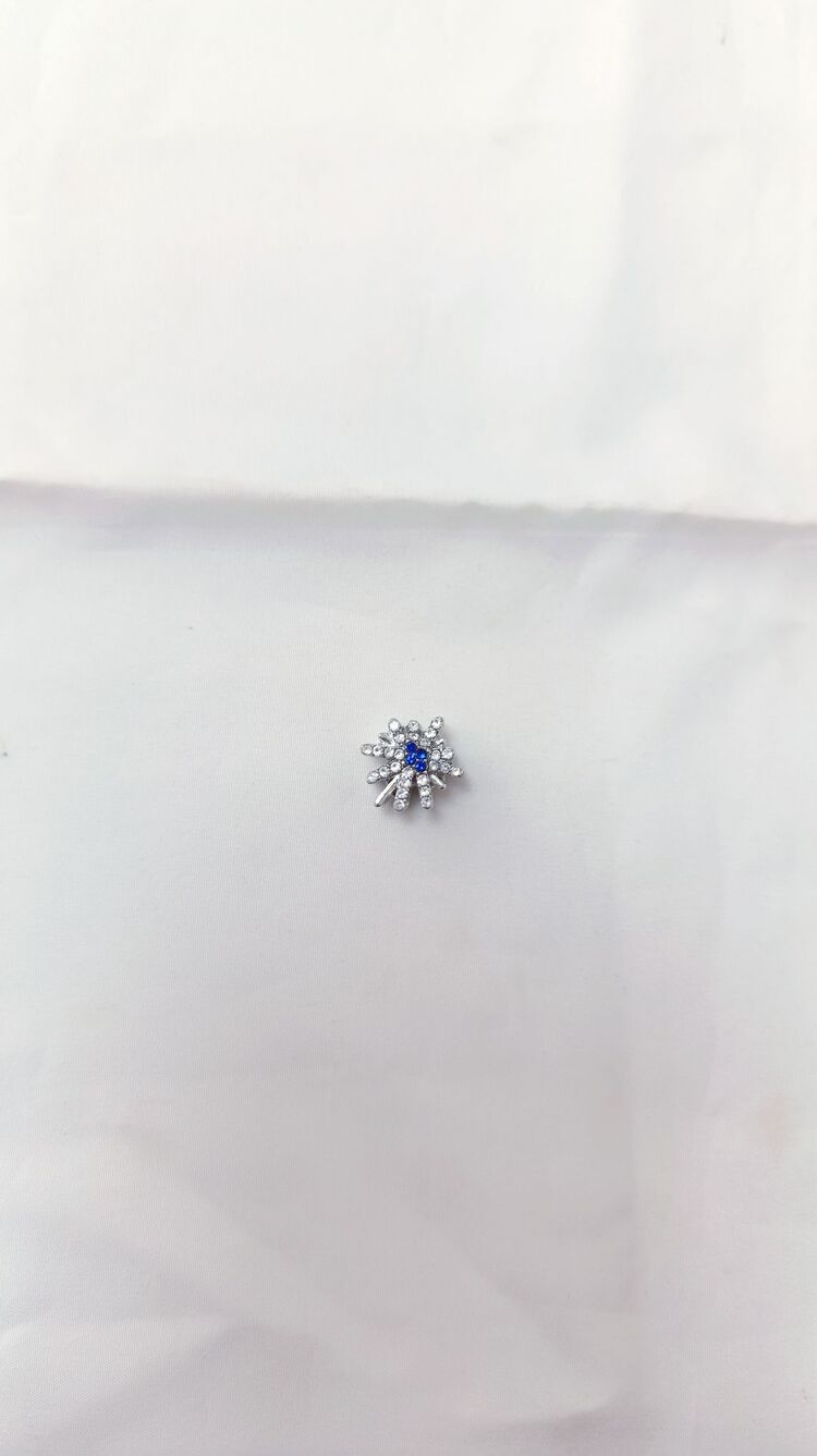 Kutup Yıldızı Charm