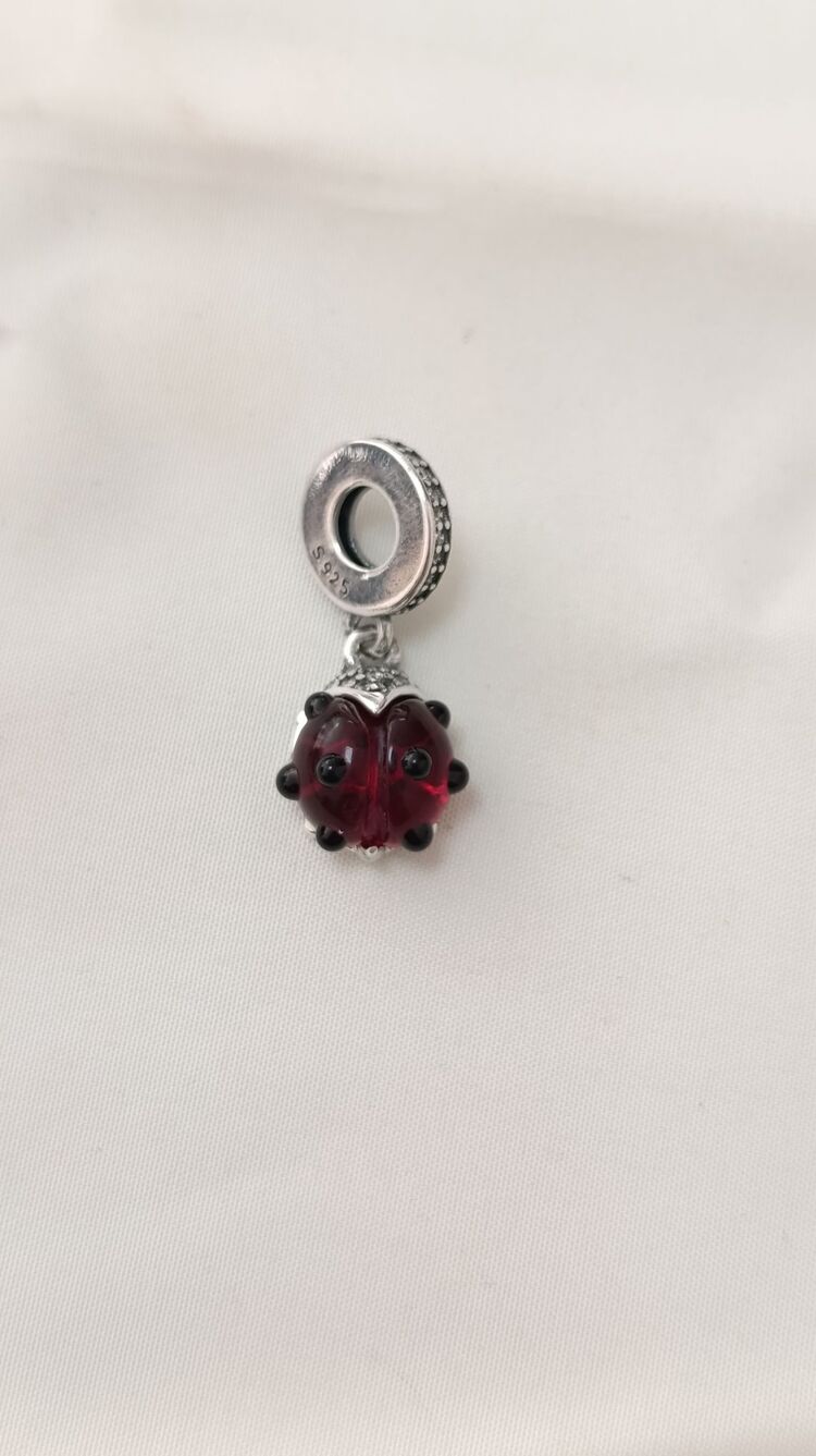 Uğur Böceği Charm