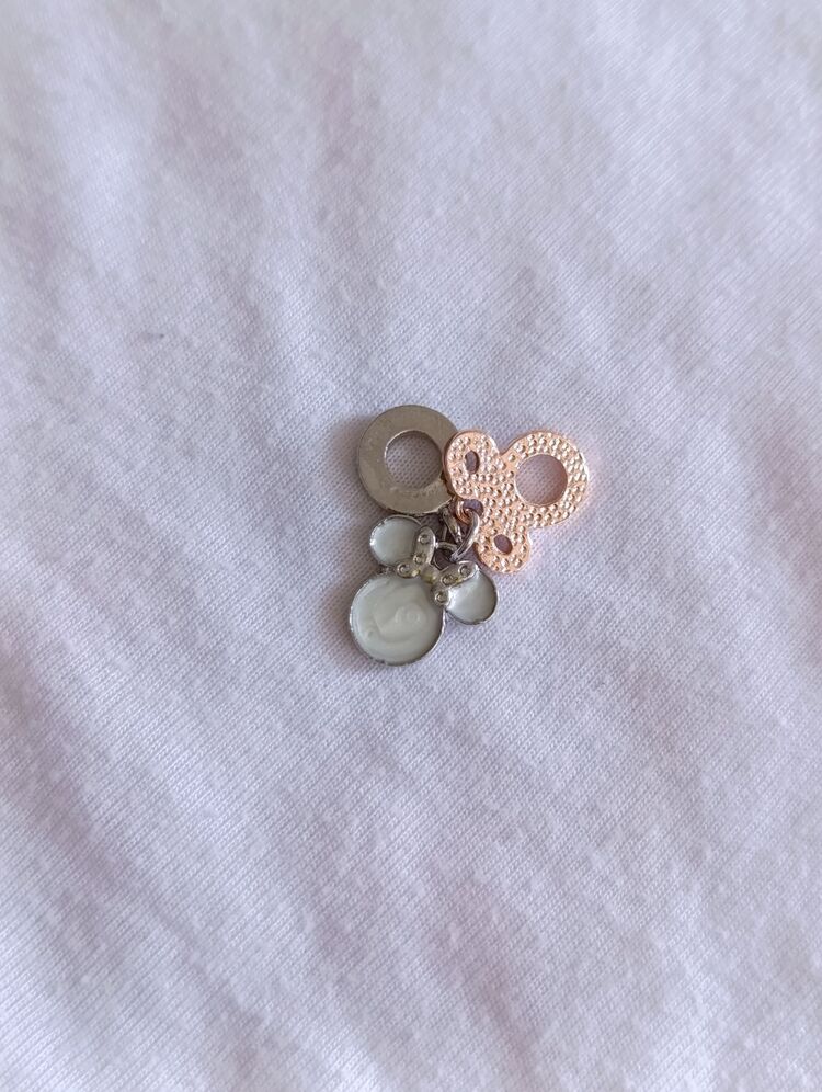 Mickey Sallantılı Charm