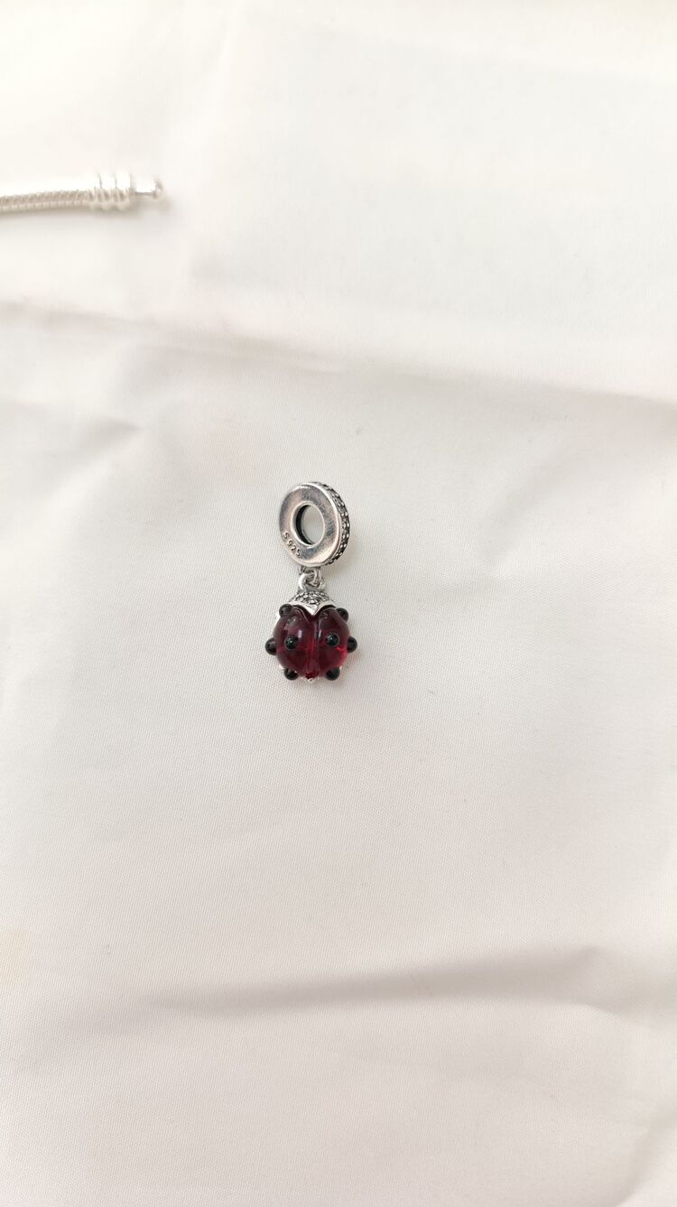 Uğur Böceği Charm