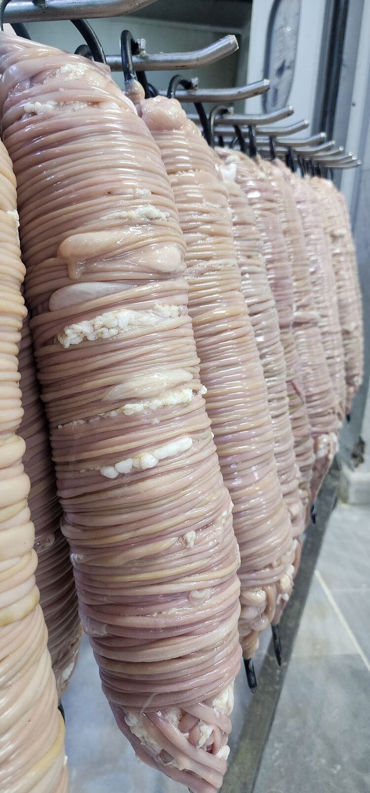 fırınlanmış istanbul sisleri 3.kg