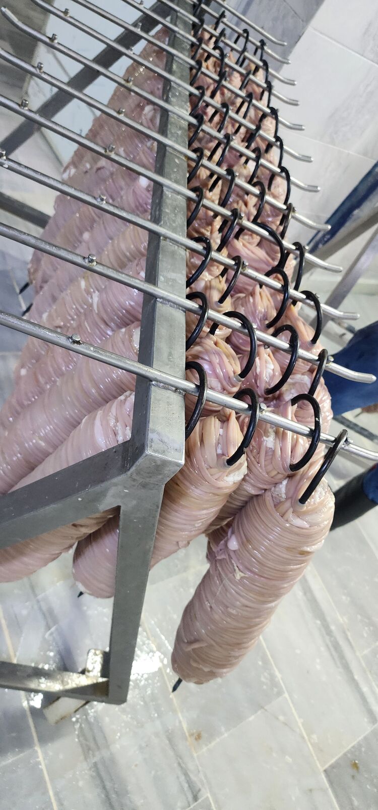 fırınlanmış istanbul sisleri 3.kg