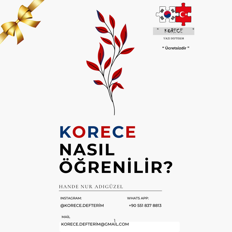 Korece Öğrenme Rehberi (PDF) – Yol Haritası, Taktikler ve Merak Edilenler!