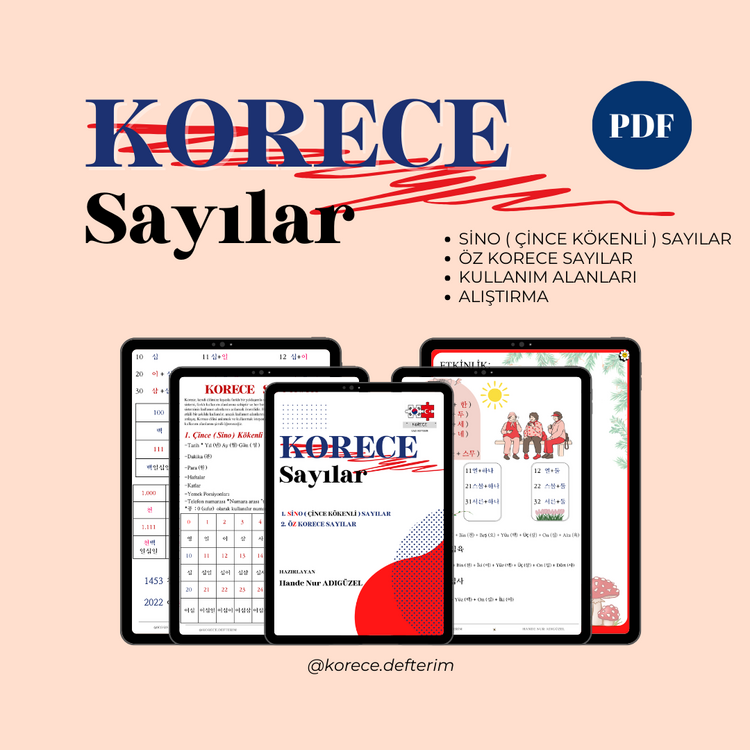 Korece Sayılar | Konu Anlatımı ve Alıştırma PDF