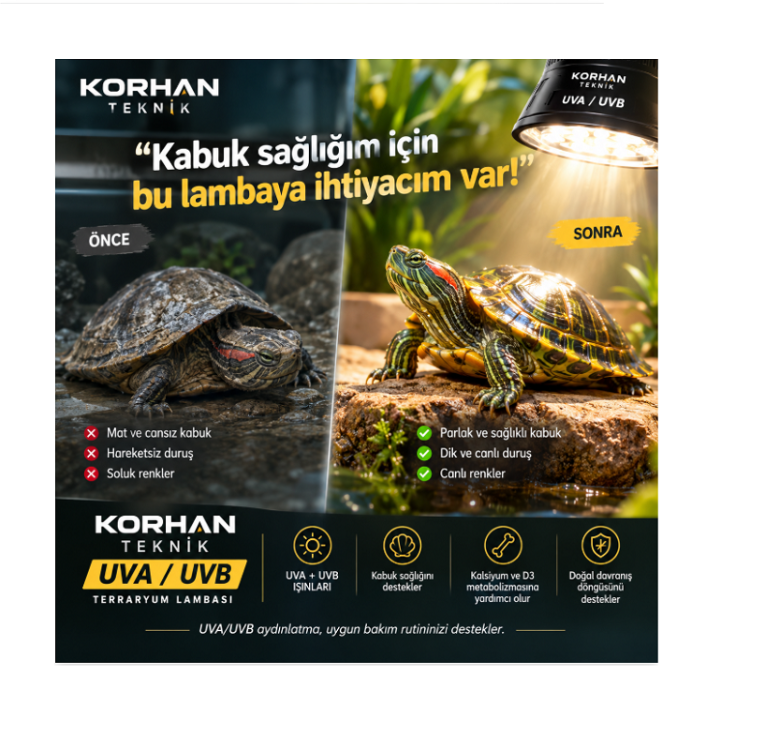 Mandallı Lamba Tutacağı Sürüngen Lambası Uva/Uvb  25 W Lamba Dahil