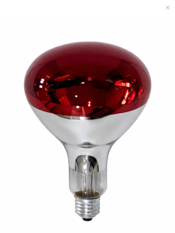 LDN Infrared 100W E27 Kızılötesi Isıtıcı Ampul