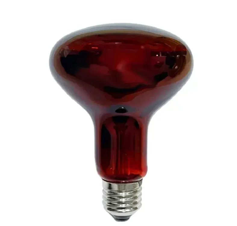 Mandallı Akrobat Lamba Tutucu (MAVİ) Sürüngen Isıtma 100 W Lamba Dahil