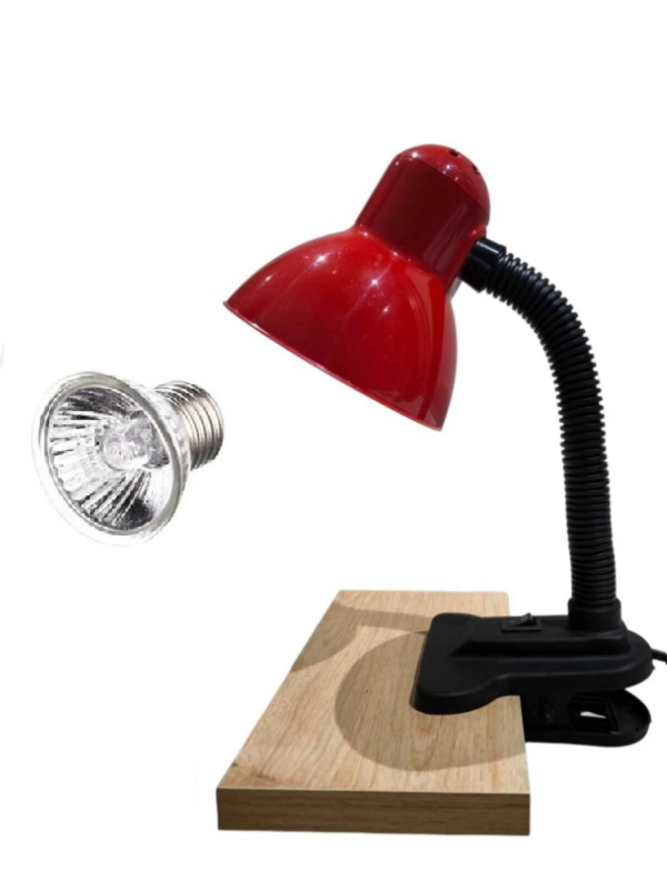 Mandallı Lamba Tutacağı Sürüngen Lambası Uva/Uvb  25 W Lamba Dahil