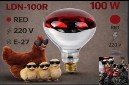 LDN Infrared 100W E27 Kızılötesi Isıtıcı Ampul