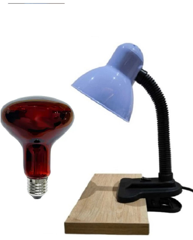 Mandallı Akrobat Lamba Tutucu (MAVİ) Sürüngen Isıtma 100 W Lamba Dahil