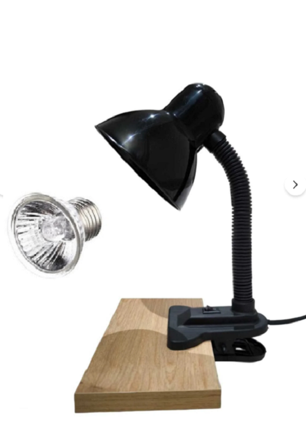 Mandallı Lamba Tutacağı Sürüngen Lambası Uva/Uvb  25 W Lamba Dahil
