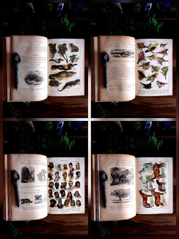 Mon Professeur: Grande Encyclopédie Autodidactique Moderne Illustrée | 1907 - 5 Cilt Tam Takım