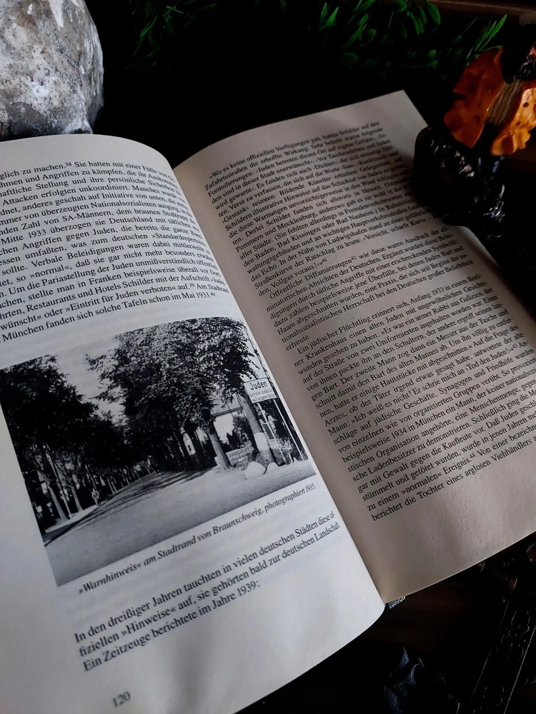 Daniel Jonah Goldhagen — Hitlers willige Vollstrecker | Hitler'in Gönüllü Cellâtları | 1996