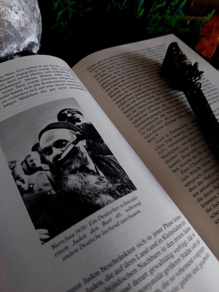 Daniel Jonah Goldhagen — Hitlers willige Vollstrecker | Hitler'in Gönüllü Cellâtları | 1996