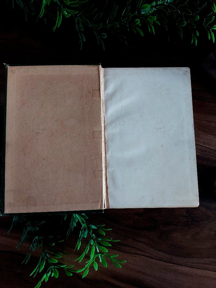 Ascott R. Hope — Young Travellers' Tales | 1895