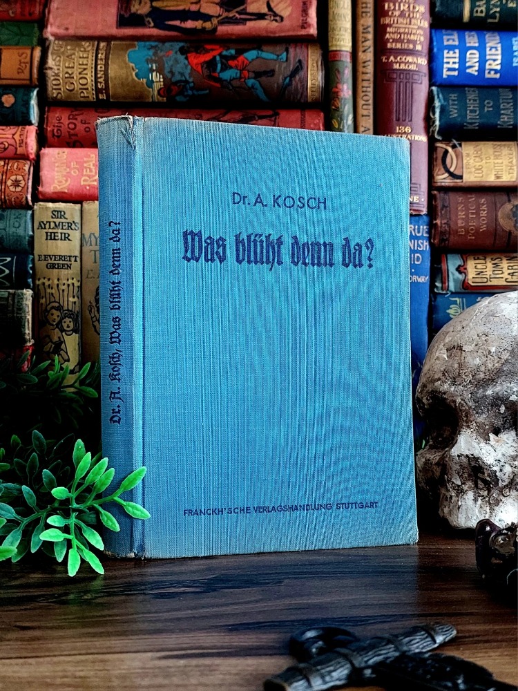 Alois Kosch — Was Blüht Denn Da? | 1940