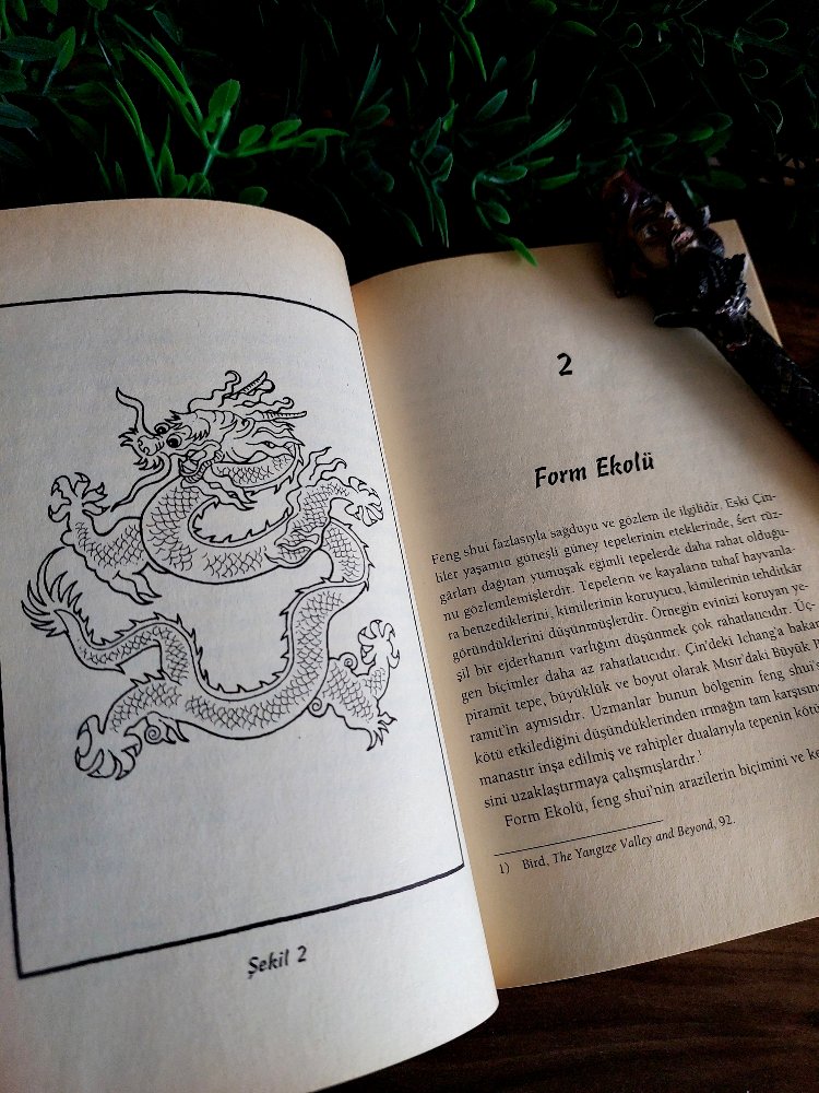 Richard Webster — Feng Shui: Yeni Başlayanlar İçin