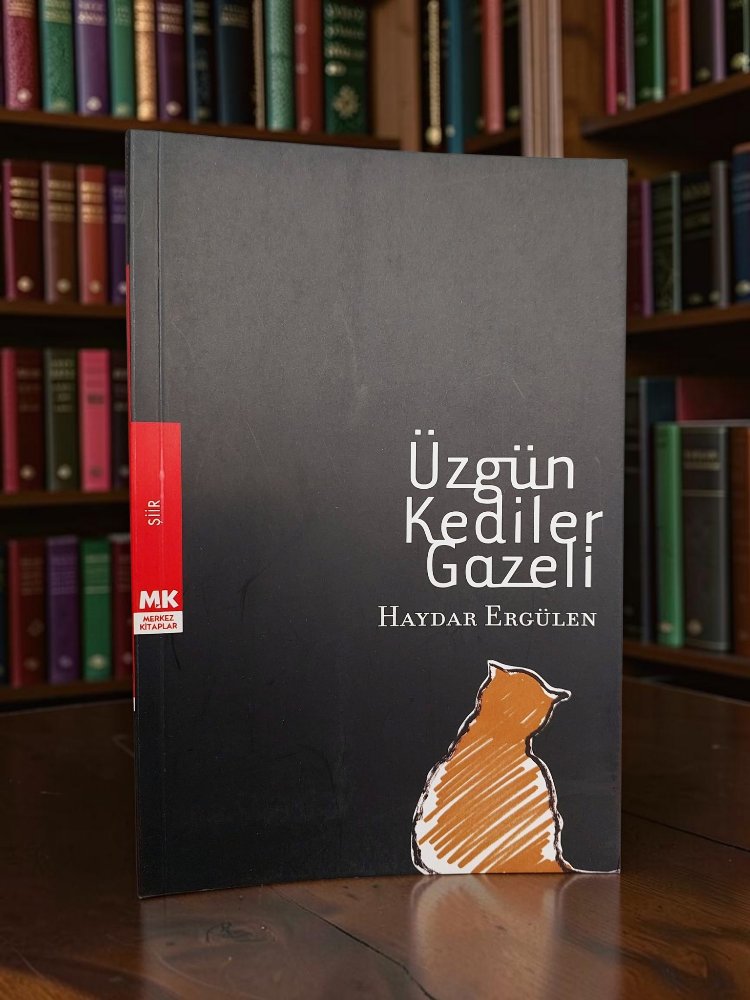 Üzgün Kediler Gazeli (Yazarından İmzalı) - Haydar Ergülen - 2007