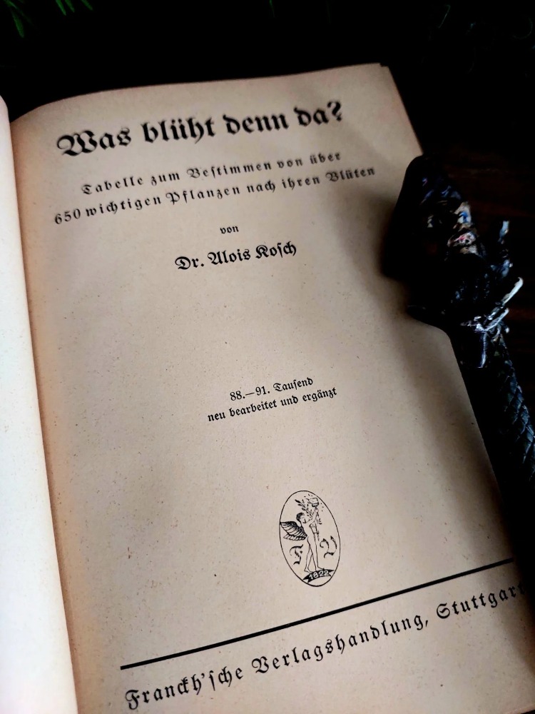 Alois Kosch — Was Blüht Denn Da? | 1940
