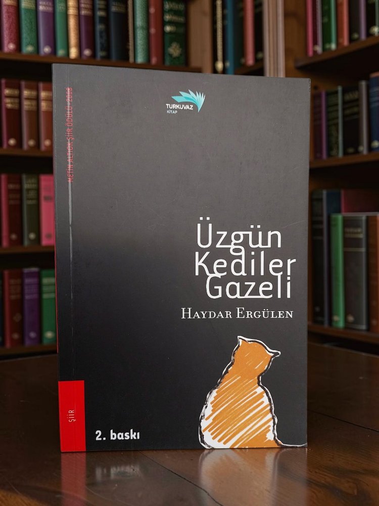 Üzgün Kediler Gazeli - Haydar Ergülen - 2007