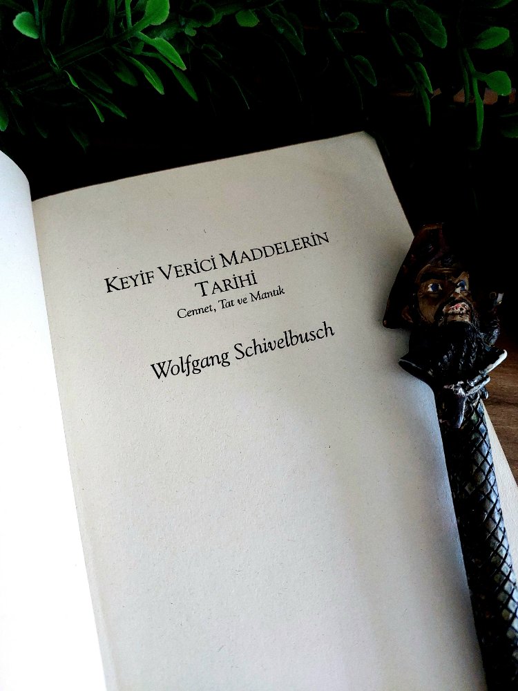 Wolfgang Schivelbusch — Keyif Verici Maddelerin Tarihi | 2000