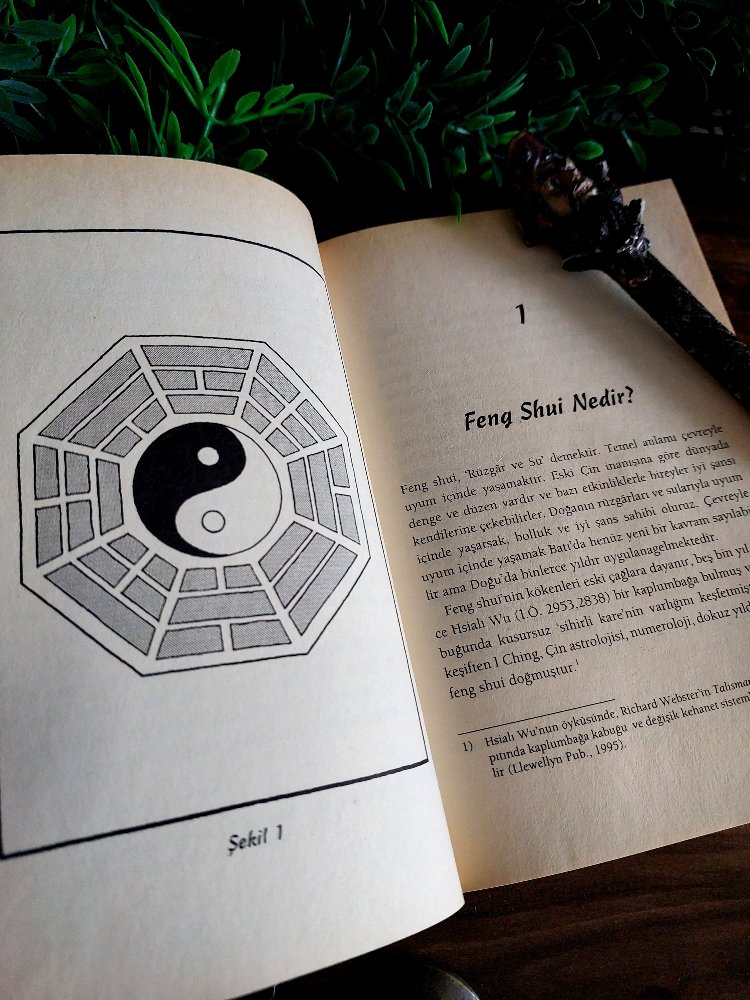 Richard Webster — Feng Shui: Yeni Başlayanlar İçin