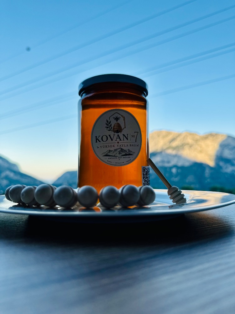 Toroslar Süzme Yüksek Yayla Balı - 850 g