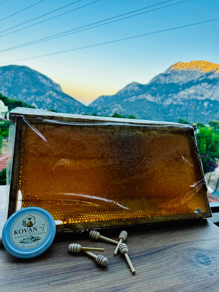 Toroslar Kasnak Petek Yayla Balı - 1 Kg