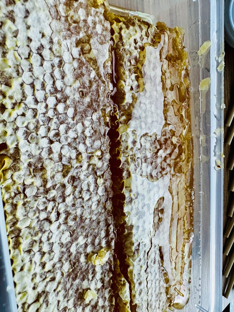Toroslar Kasnak Petek Yayla Balı - 1 Kg