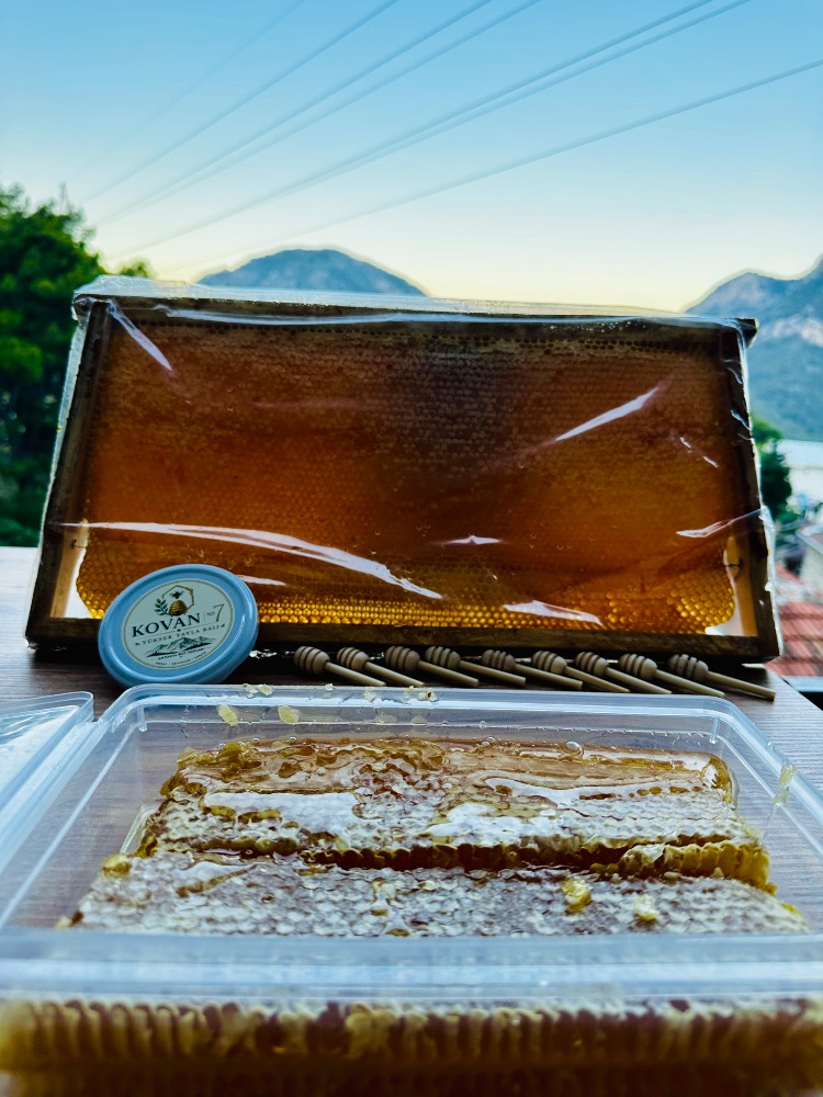 Toroslar Kasnak Petek Yayla Balı - 2 Kg (Avantajlı Paket)