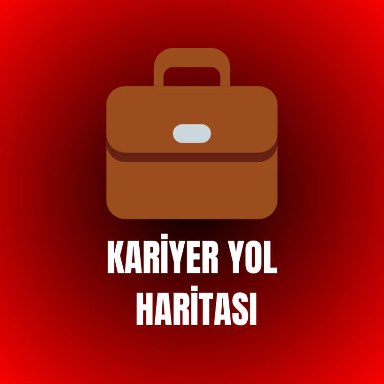 KARİYER YOL HARİTASI
