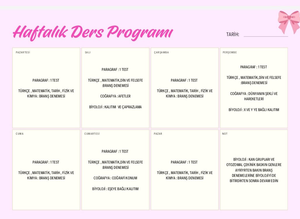 3 ayda tyt bitirme programı