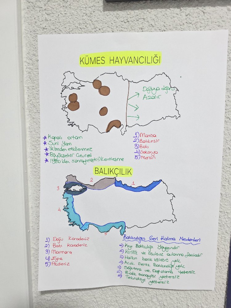 PDF COĞRAFYA HARİTA NOTLARIM