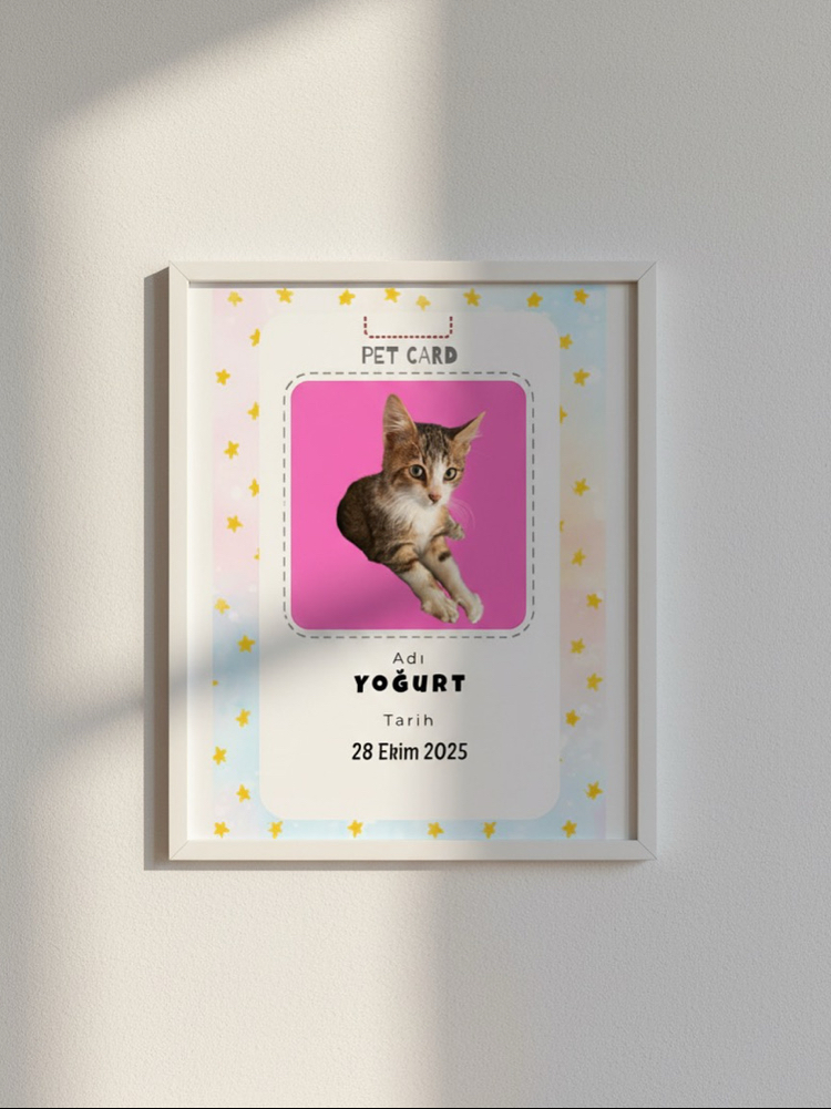 PETCARD ÇERÇEVE