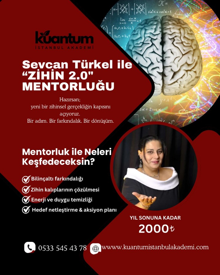 2.0 Zihin Mentorluk