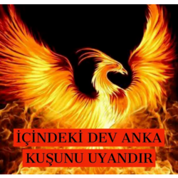 İÇİNDEKİ DEV ANKA KUŞUNU UYANDIR ÇALIŞMASI (HAZIR KAYIT)