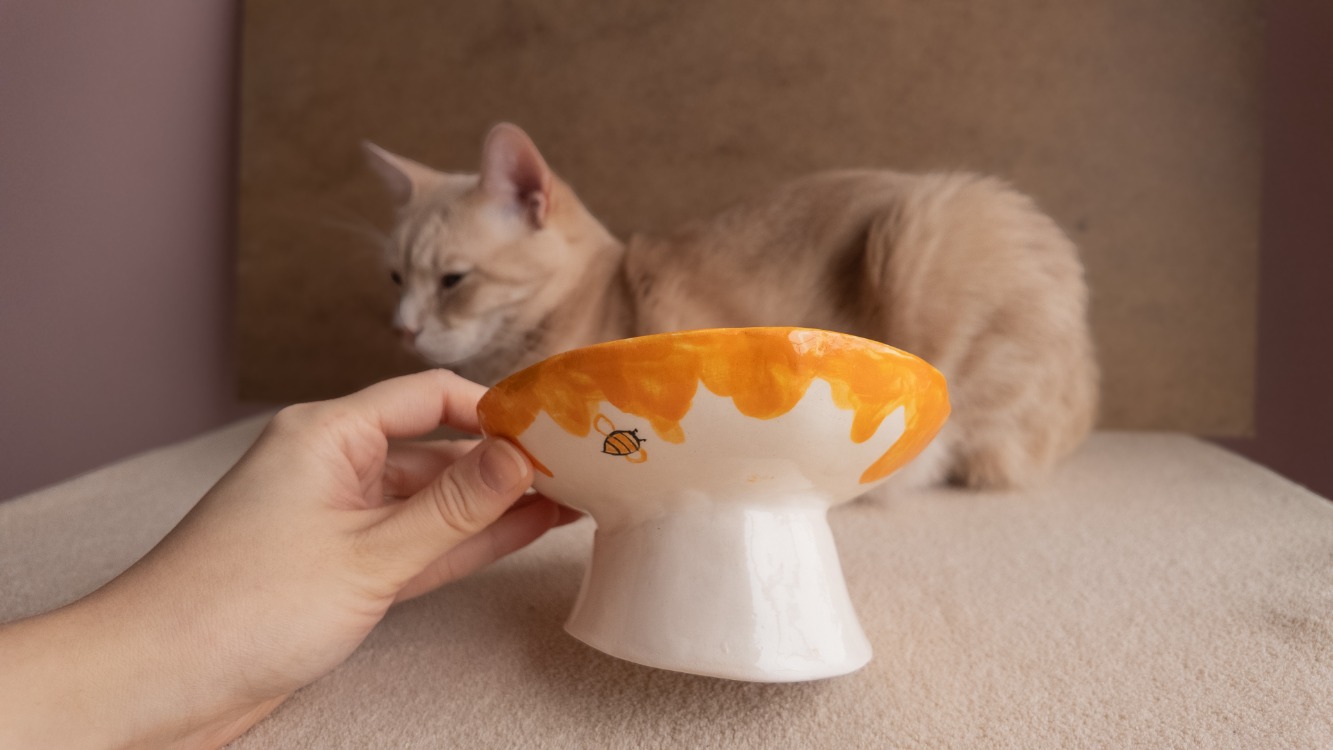 Arı Desenli Eğimli Whisker-Friendly Yükseltilmiş Seramik Kedi Mama Kabı — 14 cm