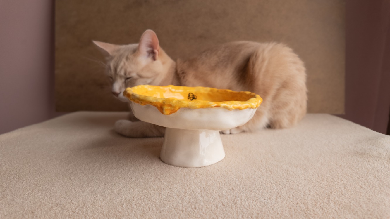 Arı Desenli Yükseltilmiş Seramik Kedi Mama Kabı — 16 cm | Kuimo