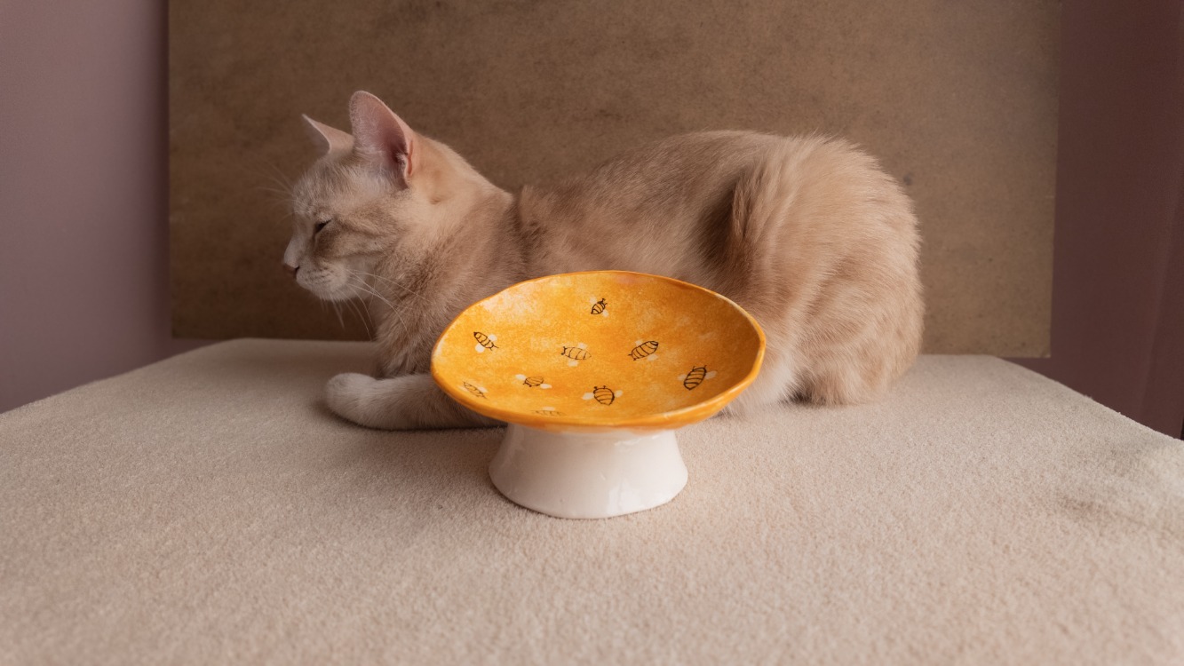 Arı Desenli Eğimli Whisker-Friendly Yükseltilmiş Seramik Kedi Mama Kabı — 14 cm