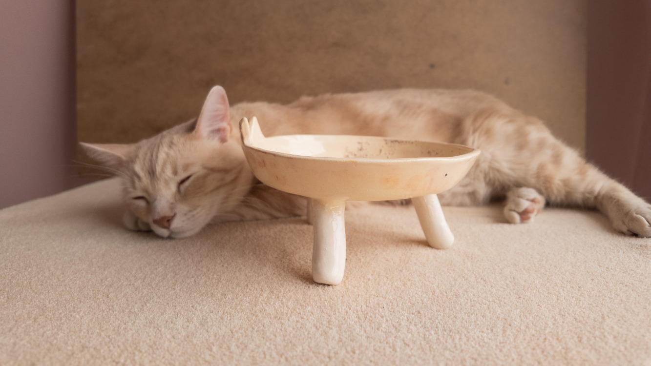 El Yapımı Kedi Yüzlü Yükseltilmiş Seramik Kedi Mama Kabı — 19 cm | Kuimo
