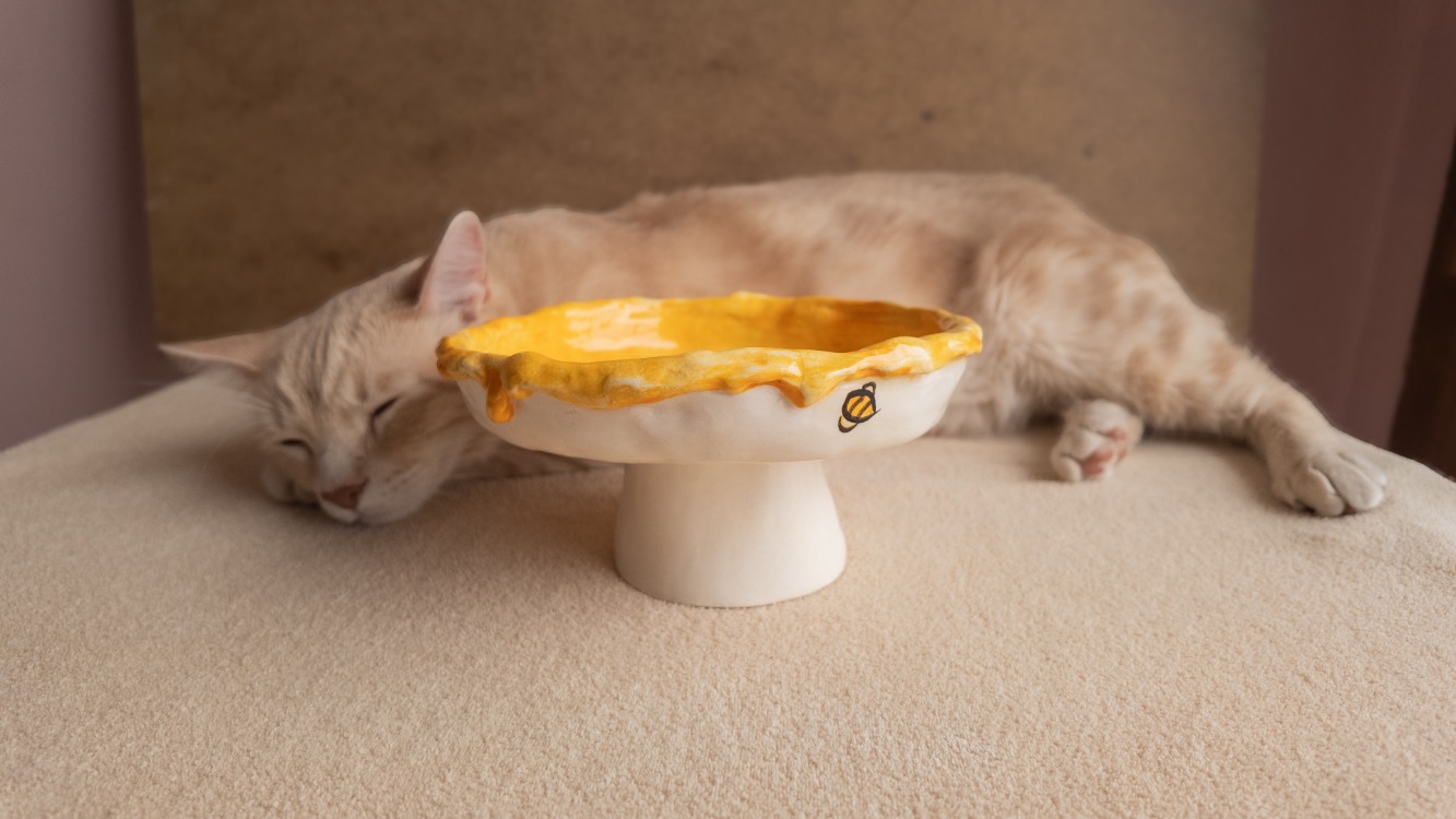 Arı Desenli Yükseltilmiş Seramik Kedi Mama Kabı — 16 cm | Kuimo
