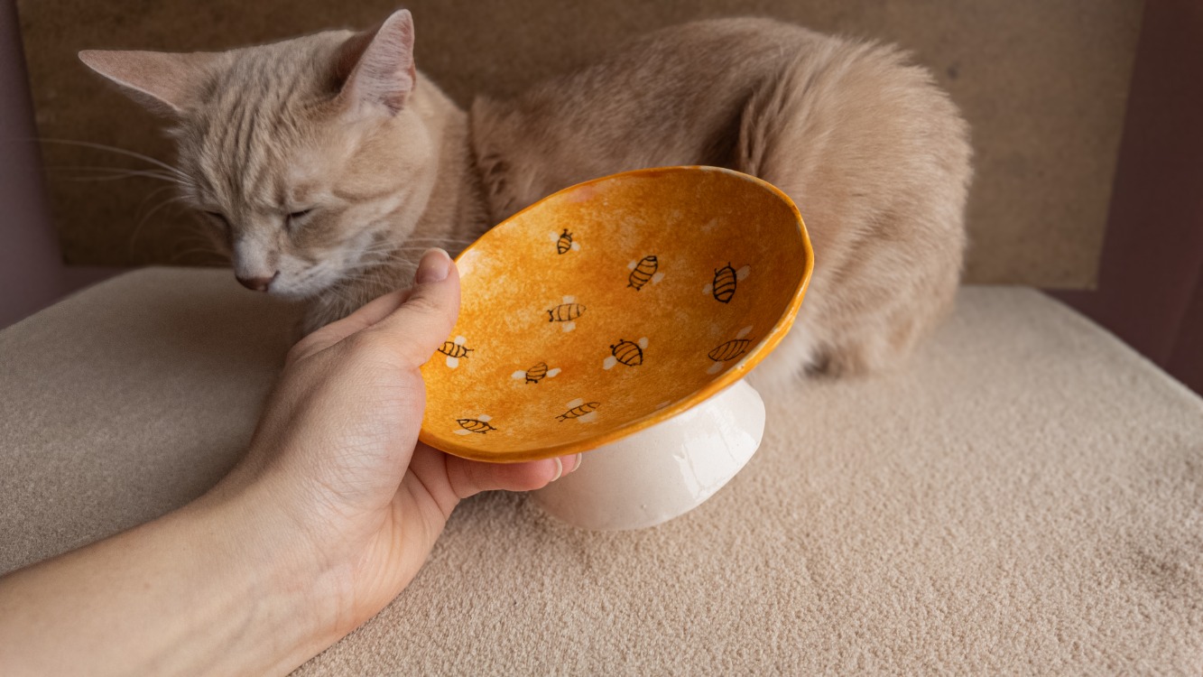 Arı Desenli Eğimli Whisker-Friendly Yükseltilmiş Seramik Kedi Mama Kabı — 14 cm