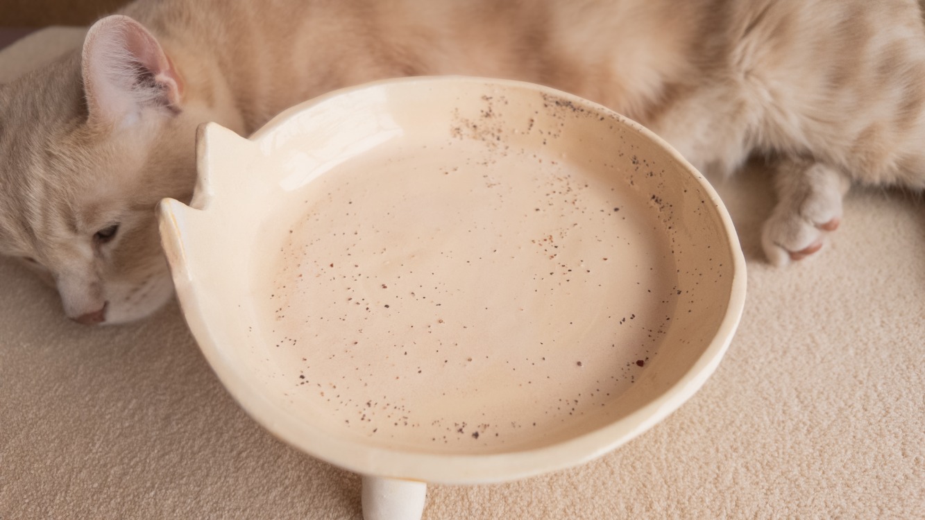 El Yapımı Kedi Yüzlü Yükseltilmiş Seramik Kedi Mama Kabı — 19 cm | Kuimo