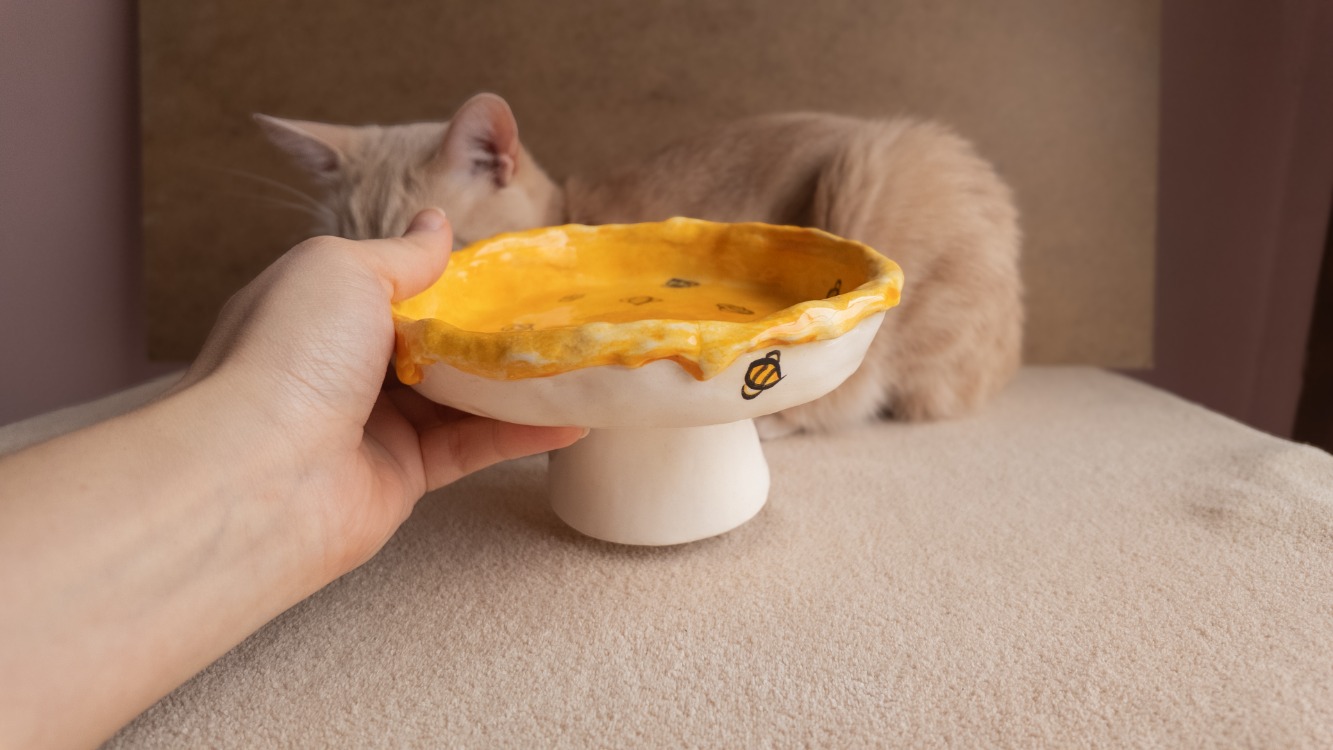 Arı Desenli Yükseltilmiş Seramik Kedi Mama Kabı — 16 cm | Kuimo